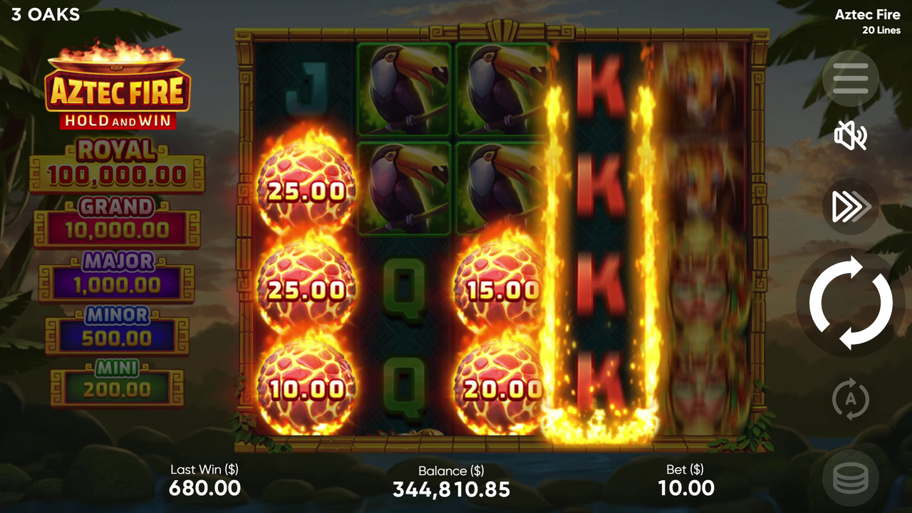 チランジア　Aztec Fire covers-10046581E_09.png?v=